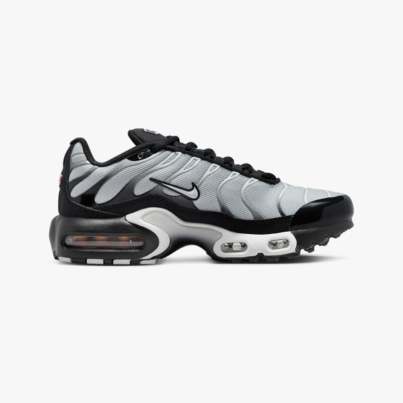 Nike Air Max Plus Tn 'Smoke Fade' (Youth) CD0609-018 - Pretty Kickz